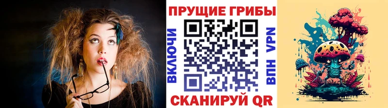 KRAKEN ссылки  купить наркотик  Нязепетровск  Псилоцибиновые грибы MAGIC MUSHROOMS 